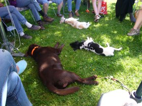 tierseminar1_x280.jpg